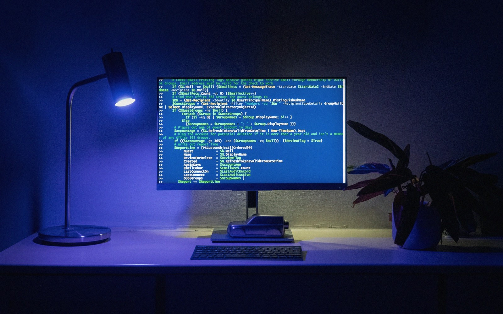 Which Front-End Framework, and Why